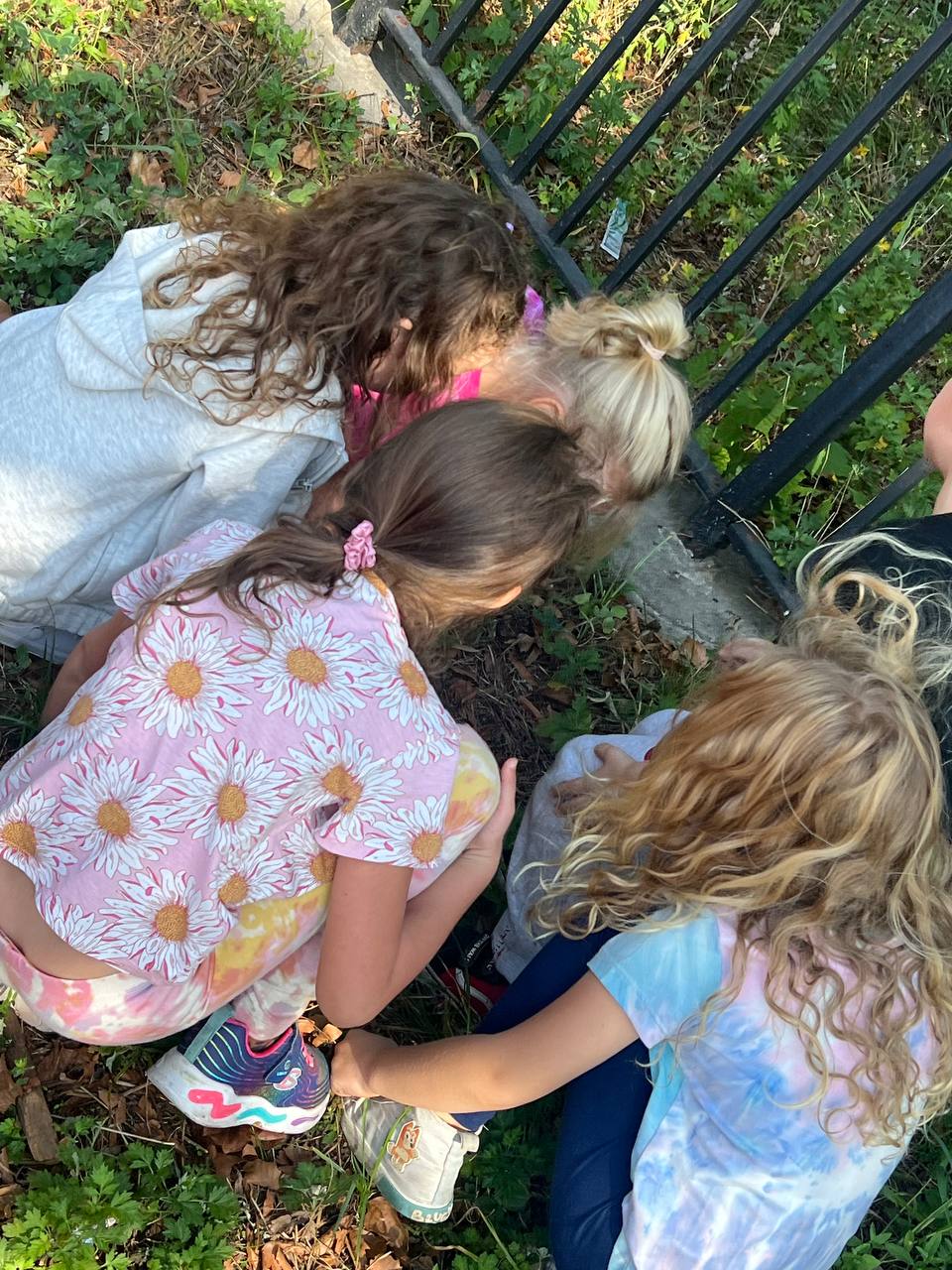 Children at summer camp